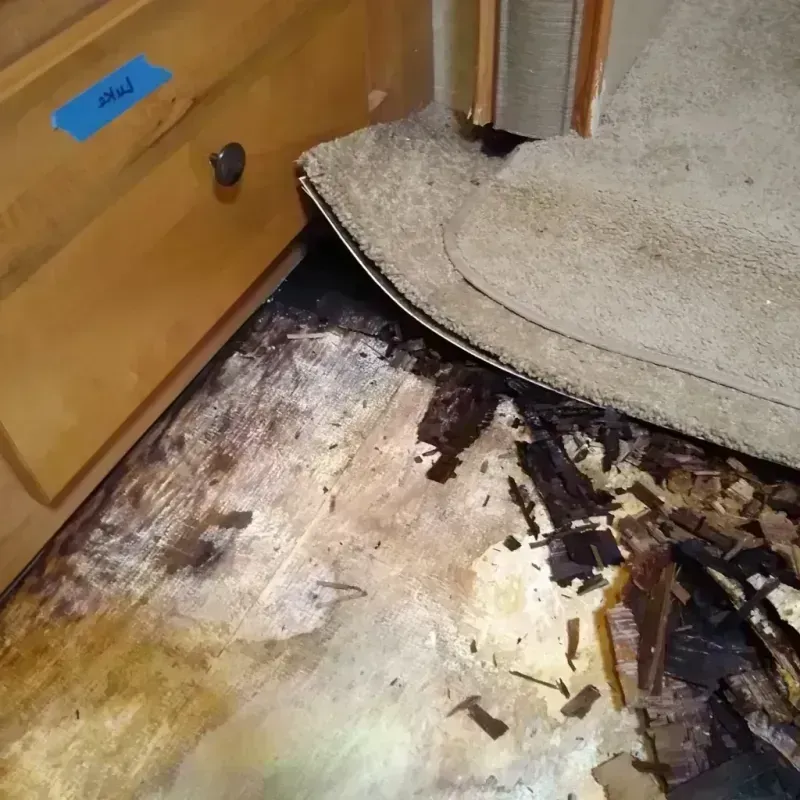 Best Wood Floor Water Damage Service in Nassau County, FL